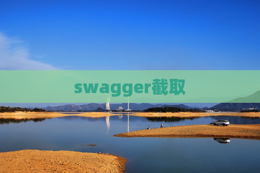 swagger截取